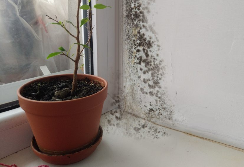 промерзание стен дома